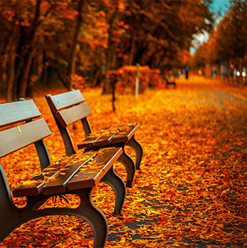 DDOS压力测试网页端